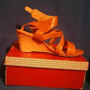 Wedge